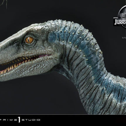 Blue (Open Mouth Version) Jurassic World: Fallen Kingdom Prime Collectibles Statue 1/10  17 cm